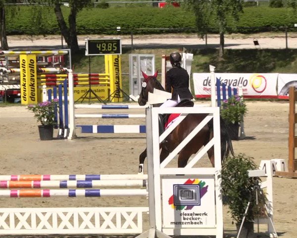 Reitturnier Kurtscheid 2017
