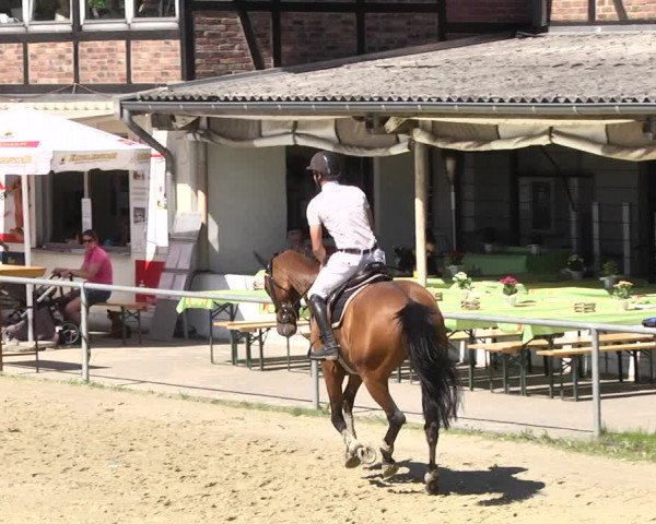 Reitturnier Kurtscheid 2017