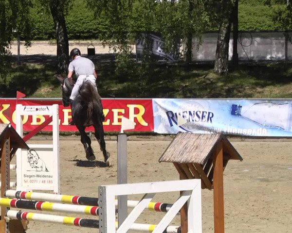 Reitturnier Kurtscheid 2017