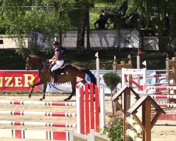 Reitturnier Kurtscheid 2017