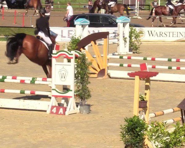 Reitturnier Hamm-Rhynern 2017