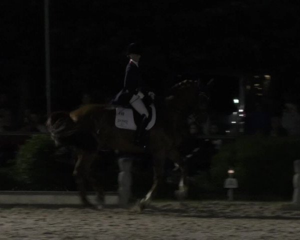 Reitturnier Kurtscheid 2017