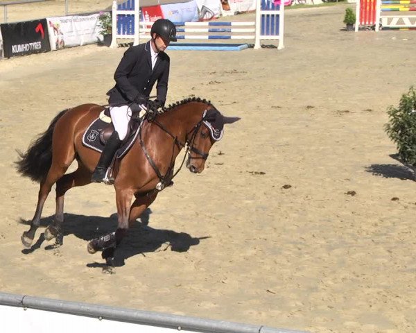 Reitturnier Kurtscheid 2017
