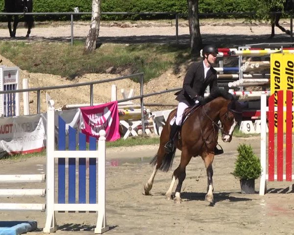 Reitturnier Kurtscheid 2017