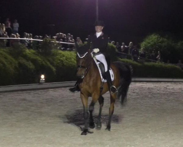 Reitturnier Kurtscheid 2017