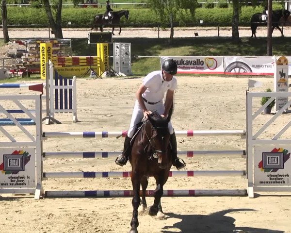 Reitturnier Kurtscheid 2017