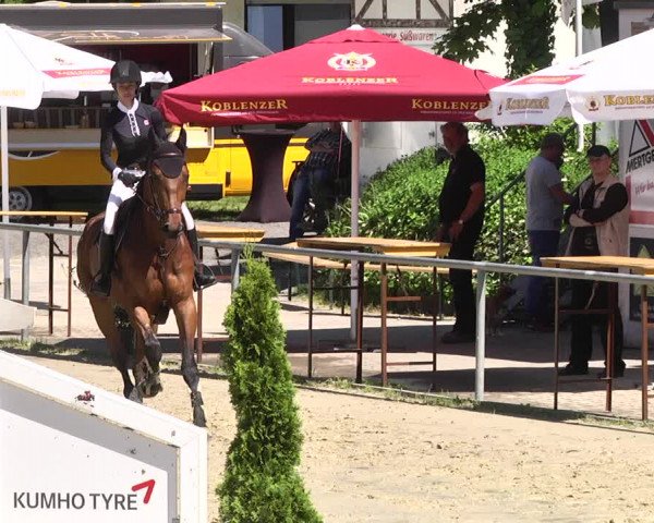 Reitturnier Kurtscheid 2017