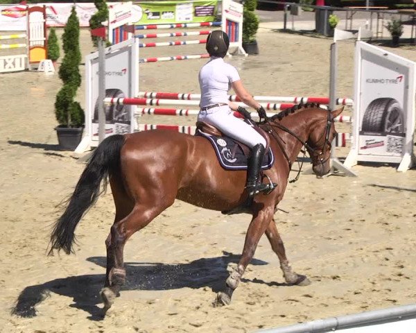 Reitturnier Kurtscheid 2017