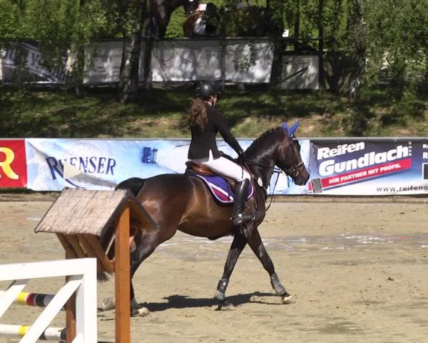 Reitturnier Kurtscheid 2017