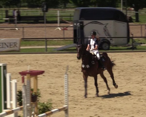 Reitturnier Hamm-Rhynern 2017