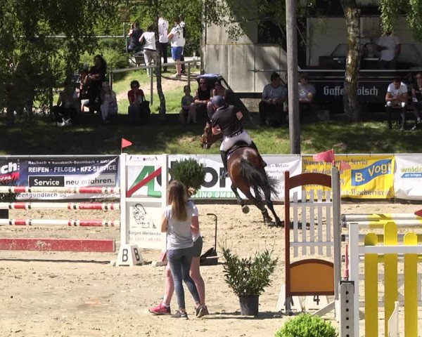 Reitturnier Kurtscheid 2017