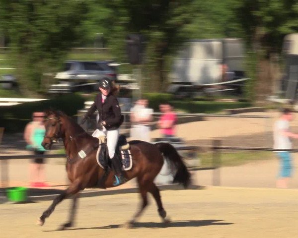 Reitturnier Hamm-Rhynern 2017