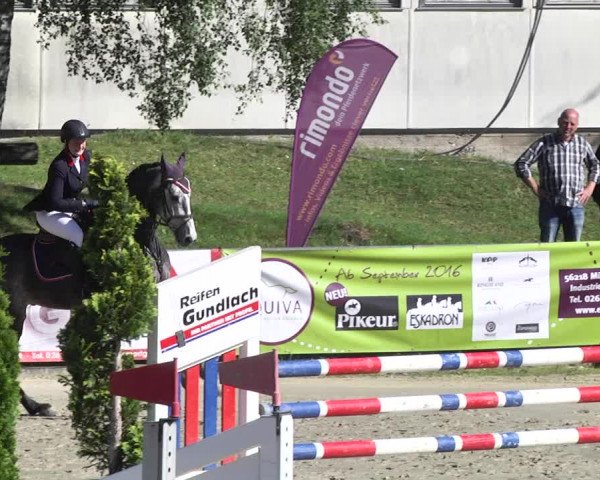 Reitturnier Kurtscheid 2017