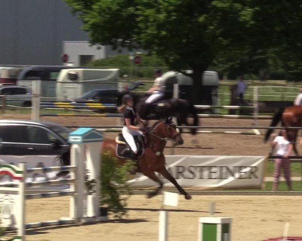 Reitturnier Hamm-Rhynern 2017