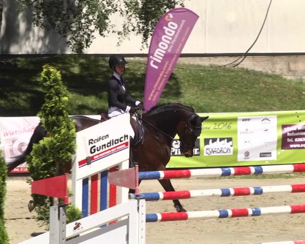 Reitturnier Kurtscheid 2017