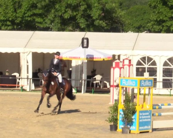 Reitturnier Hamm-Rhynern 2017