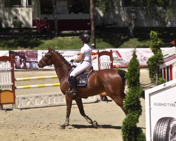 Reitturnier Kurtscheid 2017