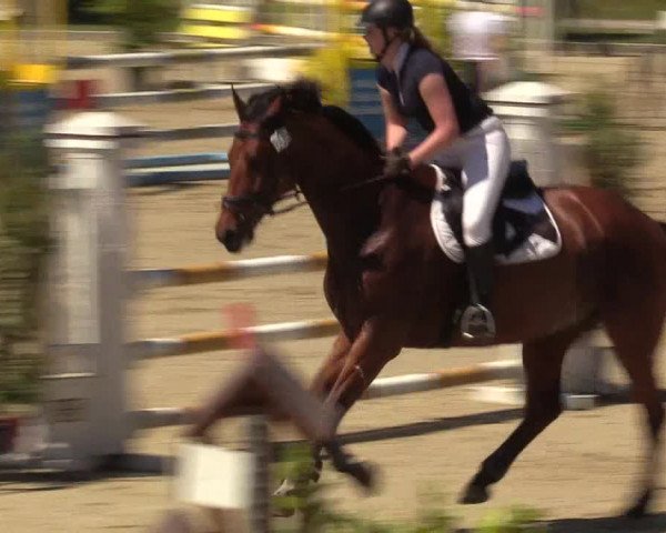 Reitturnier Hamm-Rhynern 2017