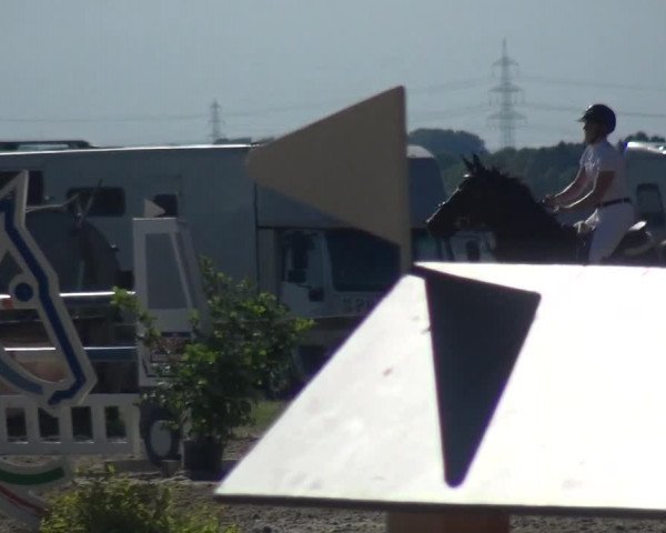 Reitturnier Burscheid-Paffenlöh 2017