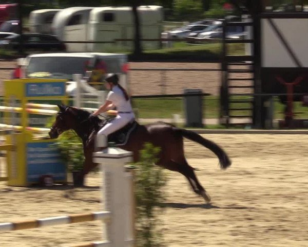 Reitturnier Hamm-Rhynern 2017