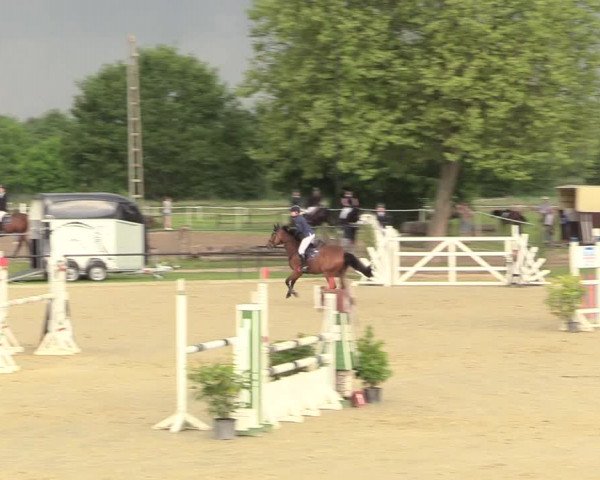 Reitturnier Hamm-Rhynern 2017