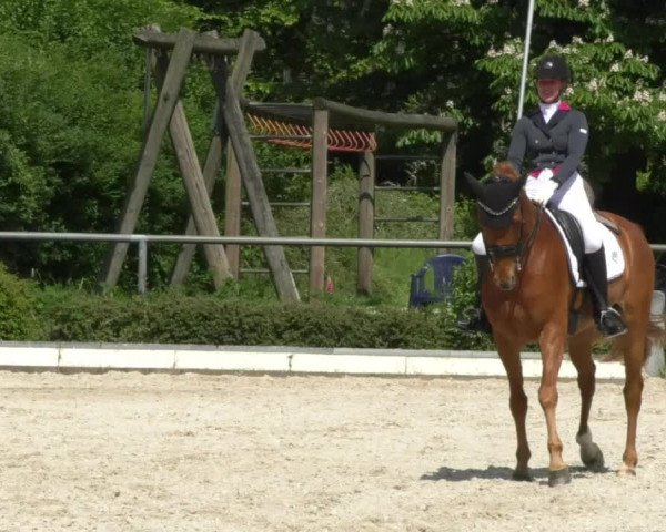 Reitturnier Kurtscheid 2017
