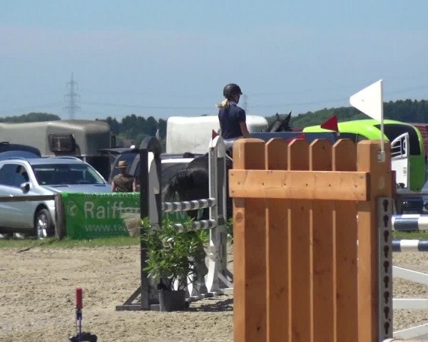 Reitturnier Burscheid-Paffenlöh 2017
