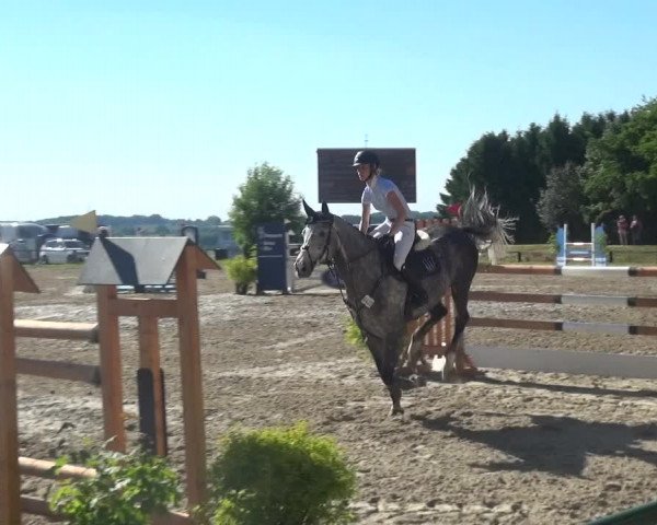 Reitturnier Burscheid-Paffenlöh 2017