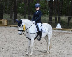 dressage horse Julia 245 (unknown, 1997)