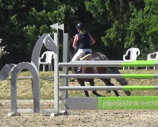 Reitturnier Burscheid-Paffenlöh 2017