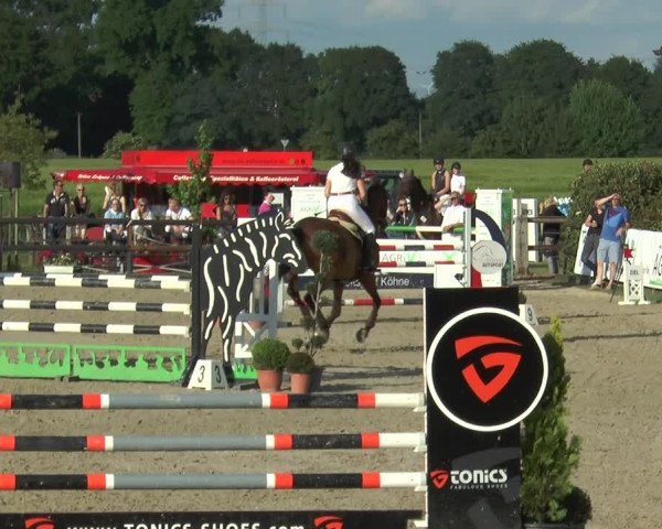 Reitturnier Kirchhellen/Stall Dieckmann 2017