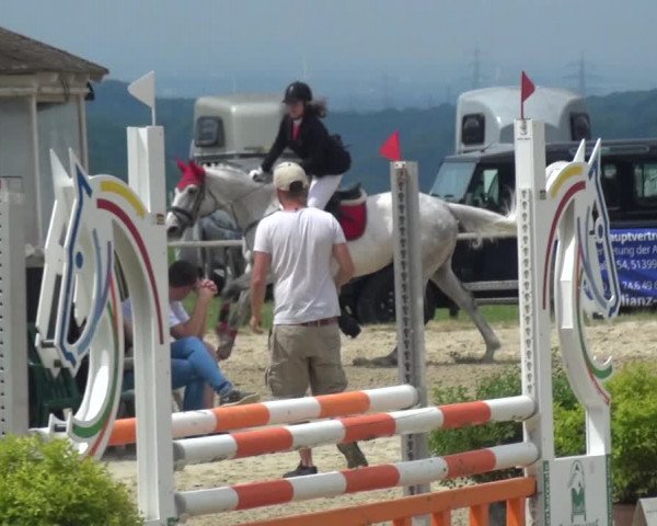 Reitturnier Burscheid-Paffenlöh 2017