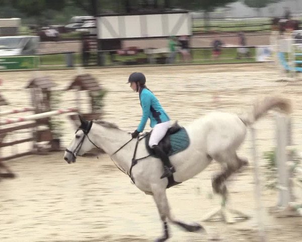 Reitturnier Hamm-Rhynern 2017