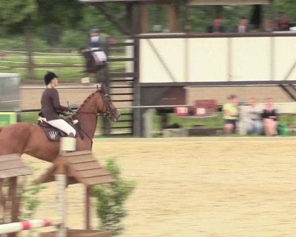 Reitturnier Hamm-Rhynern 2017