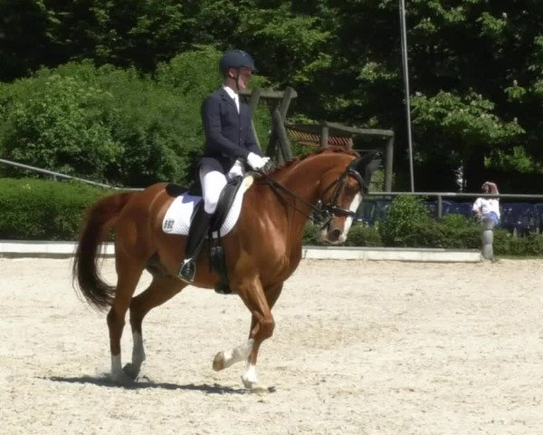 Reitturnier Kurtscheid 2017