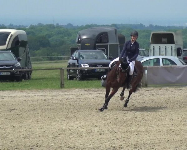 Reitturnier Burscheid-Paffenlöh 2017