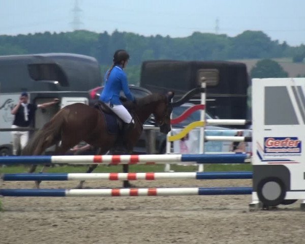 Reitturnier Burscheid-Paffenlöh 2017