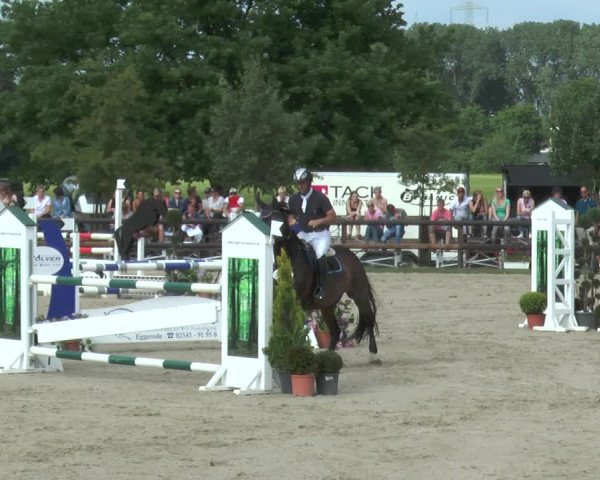 Reitturnier Kirchhellen/Stall Dieckmann 2017