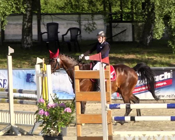 Reitturnier Kurtscheid 2017