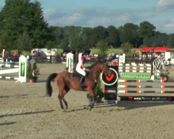 Reitturnier Kirchhellen/Stall Dieckmann 2017