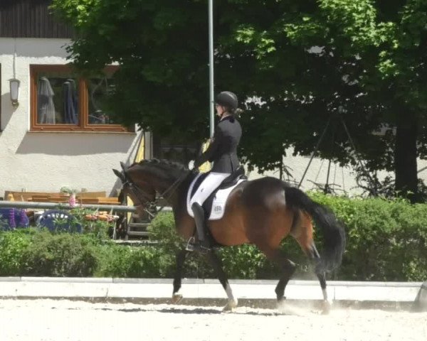 Reitturnier Kurtscheid 2017