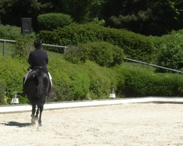 Reitturnier Kurtscheid 2017