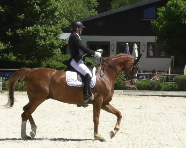 Reitturnier Kurtscheid 2017