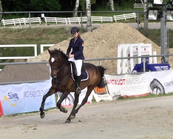 Reitturnier Kurtscheid 2017