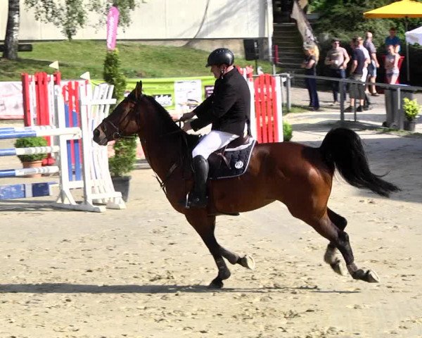 Reitturnier Kurtscheid 2017