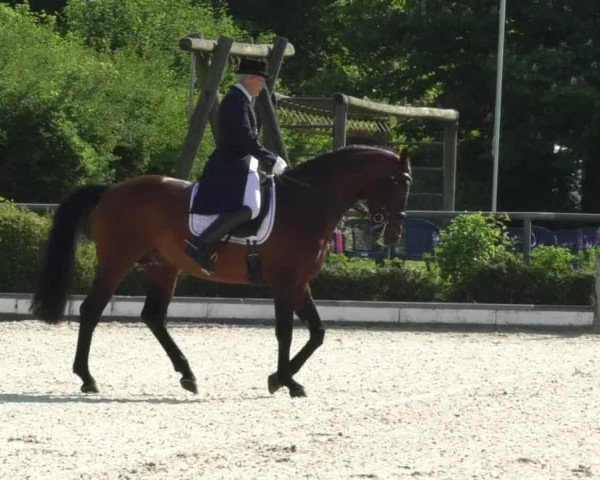 Reitturnier Kurtscheid 2017