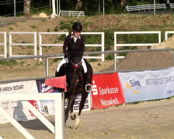 Reitturnier Kurtscheid 2017