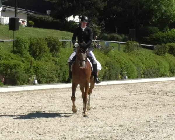 Reitturnier Kurtscheid 2017