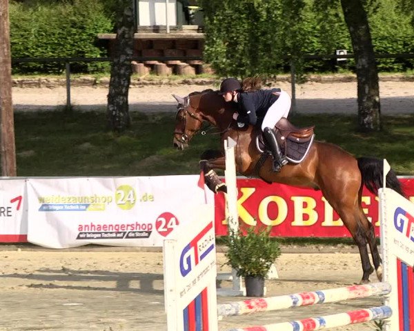Reitturnier Kurtscheid 2017