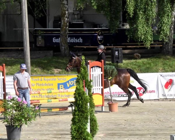 Reitturnier Kurtscheid 2017